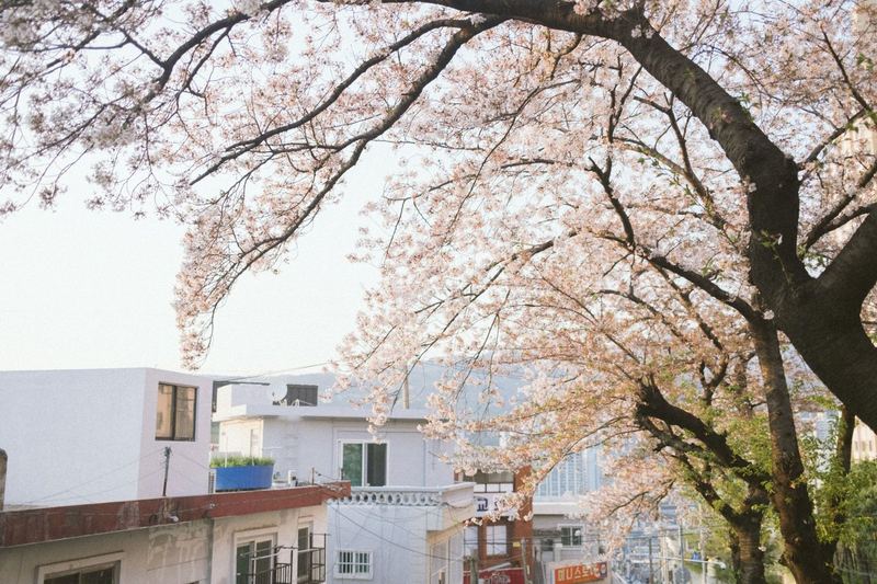 외국인등록증 발급 완벽 가이드