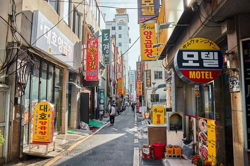 한국 직장 생활 가이드: 문화부터 법률까지